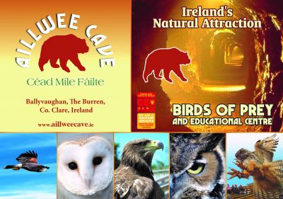 Birds of Prey Centre  Aillwee Burren Experience