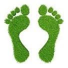 aaa green footprints